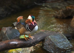 the tears that taught me pdf free download